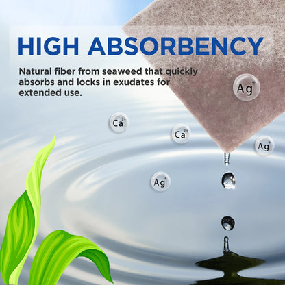 4''x4'' 10pcs Ag Silver Calcium Alginate Wound Dressing Pads Soft Silver Highly Absorbent Dressings for Wound Care