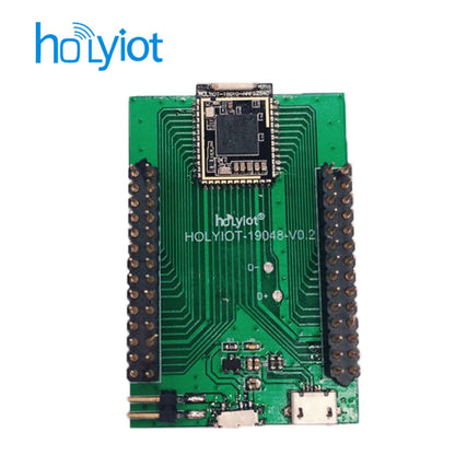 Holyiot nrf52840 DK development board Bluetooth 5 BLE ANT NFC 2.4G multi-protocol development kit Automation Modules