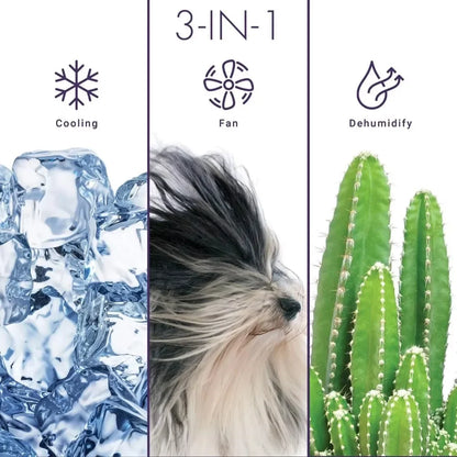 TU Window Air Conditioner and Dehumidifier, 115V, Window AC Unit for Apartment, Dorm Room, and Small to Medium Ro