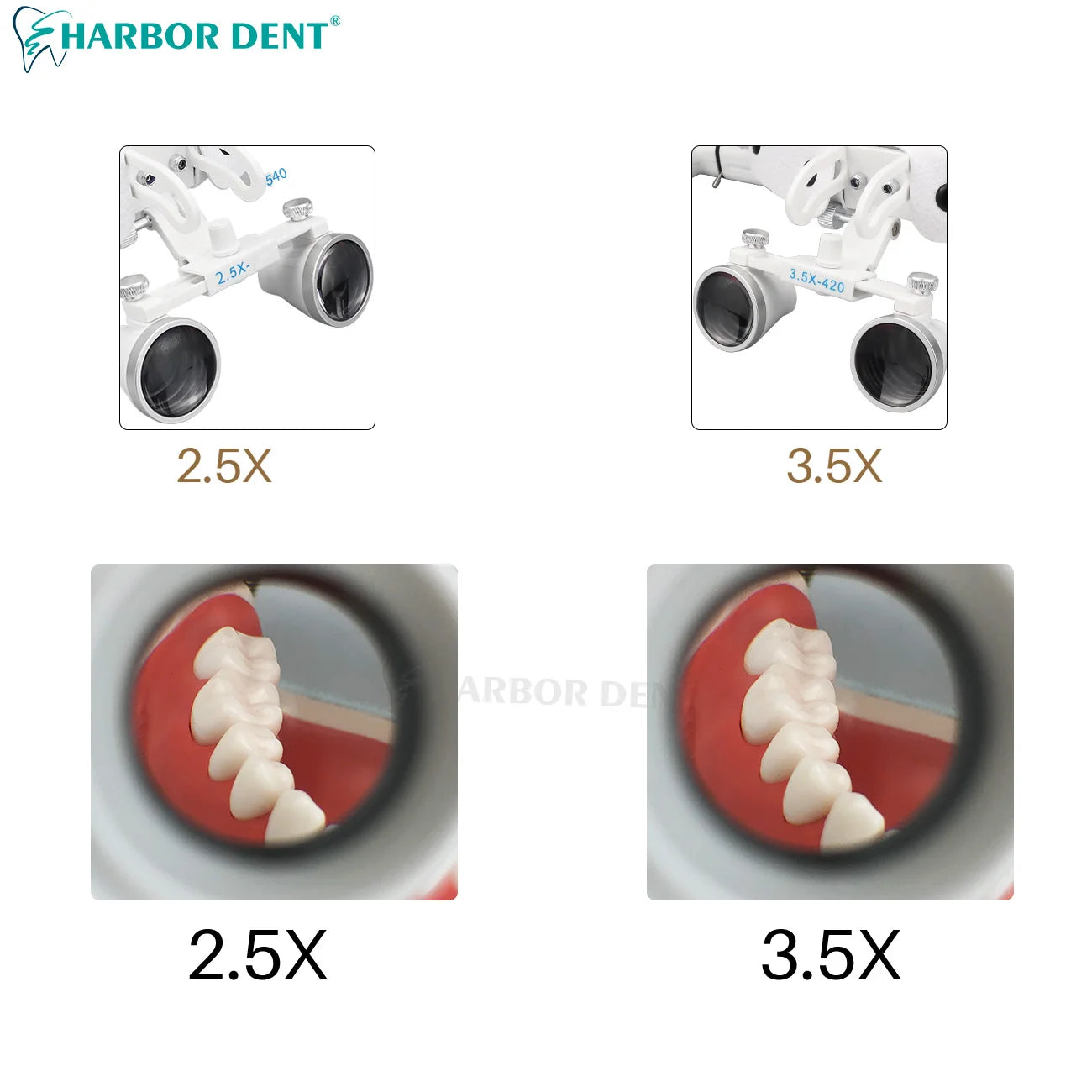 Dental 2.5X 3.5X Loupe With Mental Box 5W Adjustable Spotlight Head Mounted Magnifying Glass Dentistry Headlight